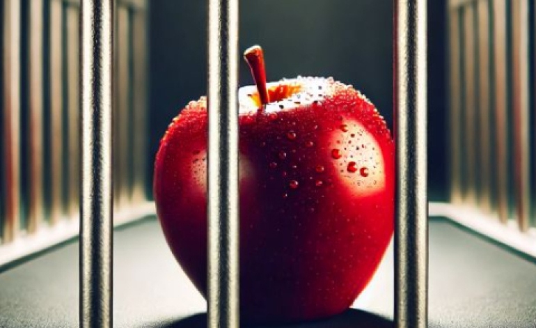 “Apple” nodokļu atvieglojumiem nebija pamata